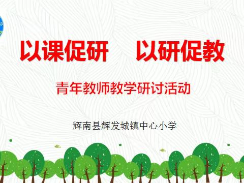 辉发城镇中心小学青年教师“以课促研，以研促教”教学研讨活动