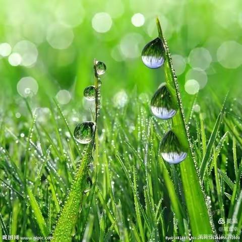 二十家子小学新学期校会既表奖会总结