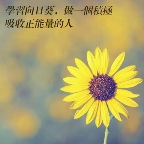 追梦唯笃行，莫负少年时——二十家子小学期中表奖大会