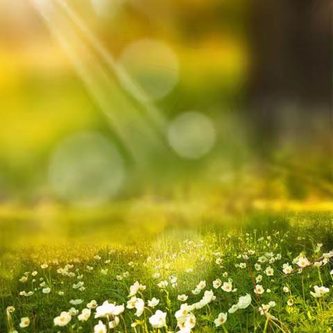 童心书语 笔墨生香——二十家子小学汉字书写优秀作品展活动纪实