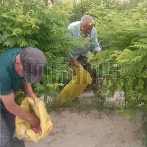 新乐市农村人居环境整治提升:【全面开展夏季村庄清洁行动】