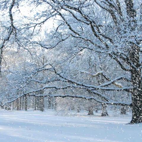 美丽家园，巾帼行动———2023年12月15日地河村清理积雪纪实