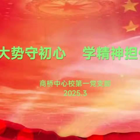 商桥中心校第一党支部举行3月份主题党日活动