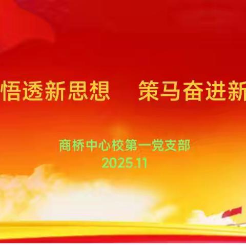 商桥中心校第一党支部举行11月份主题党日活动