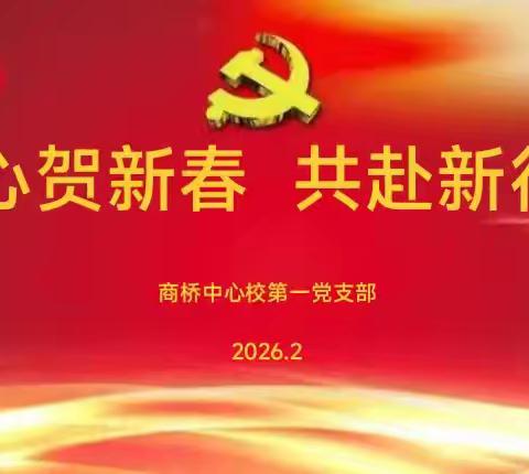 商桥中心校第一党支部举行2月份主题党日活动
