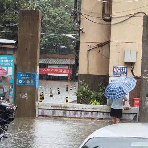 【红色等驾坡】防汛不松懈 筑牢安全线