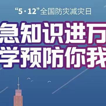 大荔县应急管理局开展“5•12”全国防灾减灾日宣传进市场活动