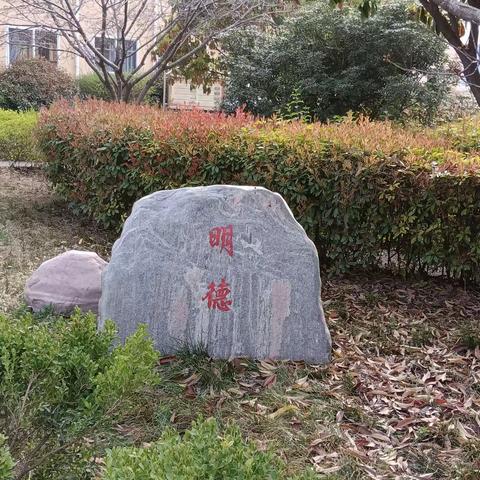 家校共育  静待花开---沁阳市第七中学心理健康教育致家长的一封信