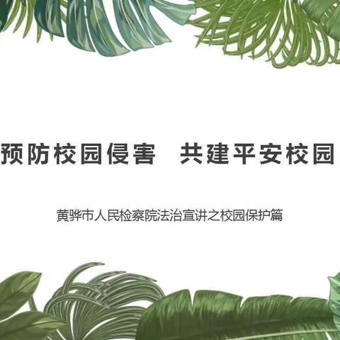 “木兰有约，法治进校园”-----黄骅市齐家务镇预防校园侵害共建平安校园活动