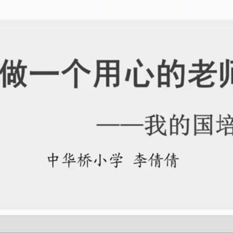 【关爱学生 幸福成长·师德师风篇】中华桥小学数学国培暑期培训