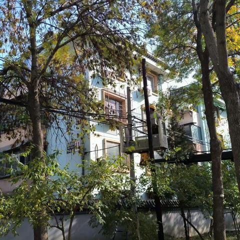 [社区动态]西苑医院社区修越界树枝，“剪”除居民安全隐患