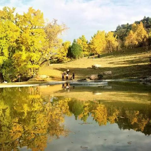 金源大酒店为“徽县2025年千年银杏.多彩嘉陵银杏文化暨农文旅赋能促销费活动”提供住宿保障