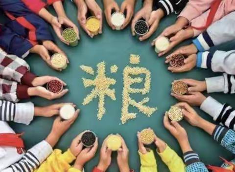 【新建幼儿园大四班】珍惜粮食  致敬耕耘