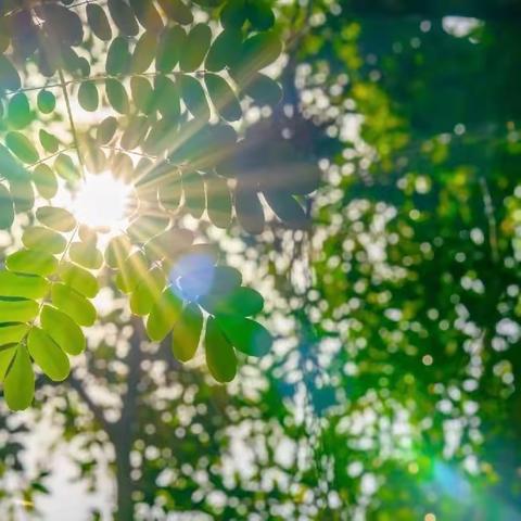 缤纷夏日，快乐一“夏”🌱美林湾幼儿园大班暑假班生活集锦