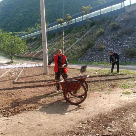 坪坎镇倒贴金村：持续发力整治村居环境 打造美丽生态宜居家园