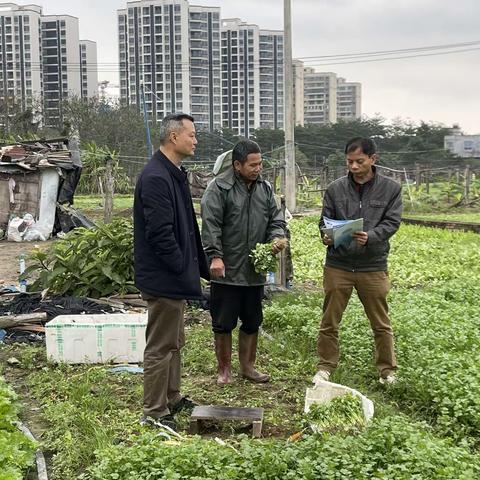 美兰区组织专家深入各镇指导农业防寒减灾工作