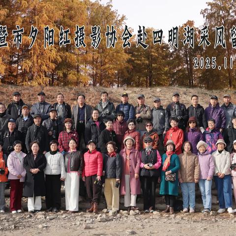 初冬杉红映天际 共赏温柔好时光