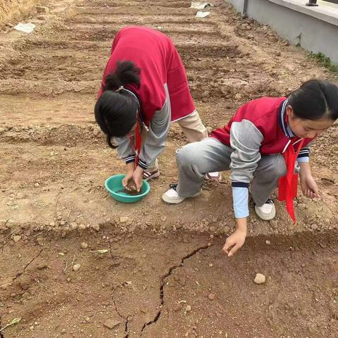 劳动润心志，实践育美德