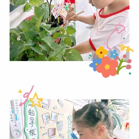 环境浸润童心 理念点亮童年——第二实验幼儿园“安吉游戏”背景下环境改革纪实