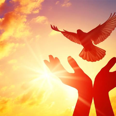 守护上学路，我们在行动 娄底五小三（2）班