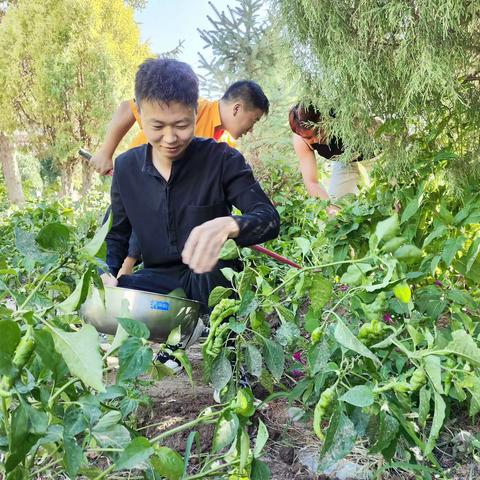 谭家井信号车间Ⅰ小菜园“孕育”大幸福