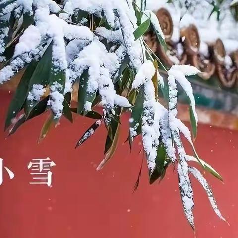 岁月安暖，今冬不寒Ⅰ铁路人，小雪