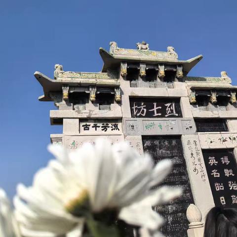 🌿 清明祭英烈｜薪火传童心