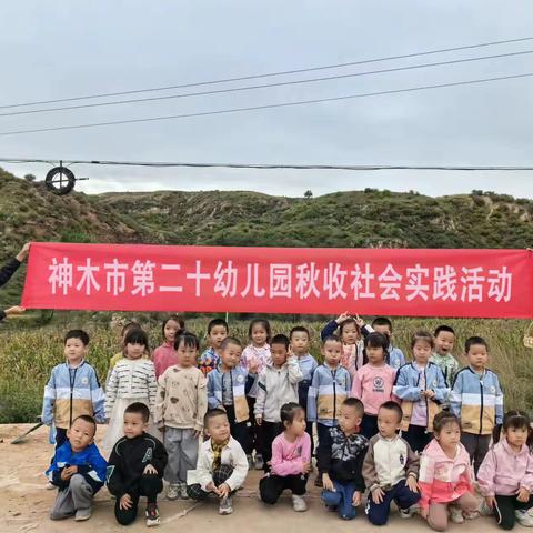 神木市第二十幼儿园社会实践活动——中三班挖红薯、掰玉米之旅