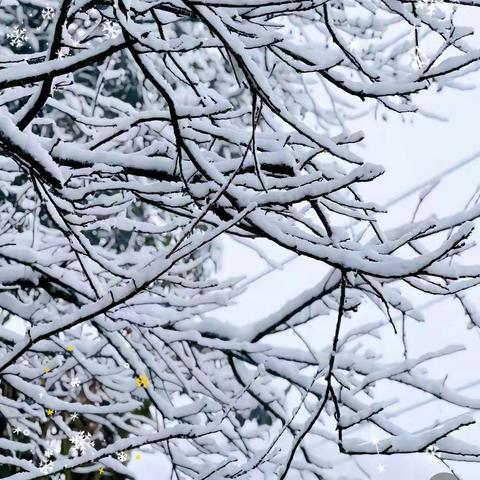 【安全提醒】雨雪低温天气 安全谨记在心——侯咽集镇中心小学雨雪低温天气温馨提示