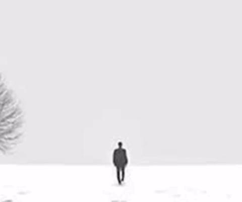 【全环境立德树人】和雅少年·我眼中的乡村景致