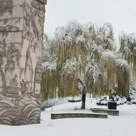 步云小学二年级十一班——美丽雪花 快乐时光主题实践活动