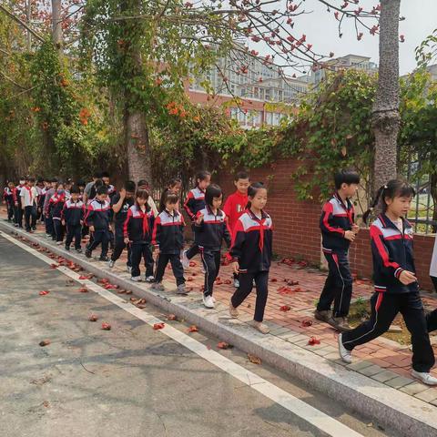 “渔你相约 葚是美好” 渔溪实验小学组织开展桑葚采摘活动