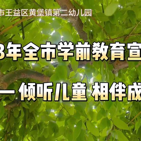 铜川市王益区黄堡镇第二幼儿园学前教育宣传月视频案例《自主游戏小插曲之“发现蚯蚓”》