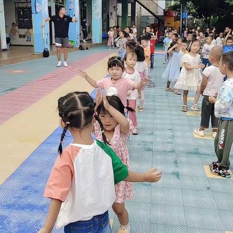 今日体智能游戏活动——《森林小桥》