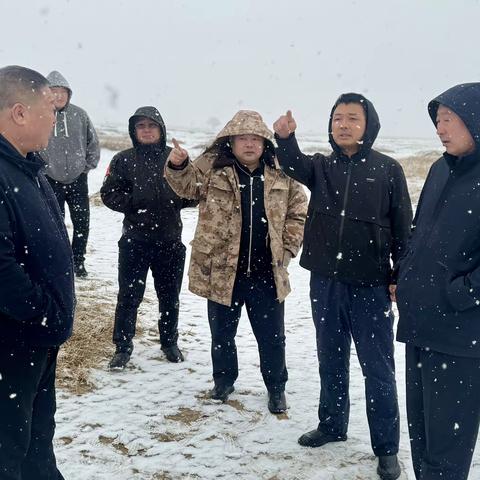 旗委书记蔡宝军一行深入好腰苏木镇调研指导