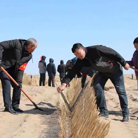 好腰苏木镇：防沙治沙“一盘棋” 志愿服务“不掉队”