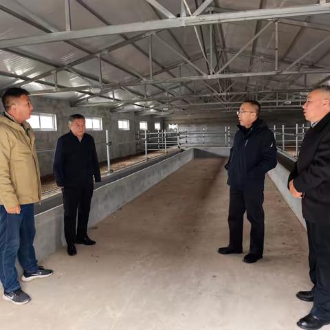 旗人大常委会副主任白全福一行深入好腰苏木镇查申套卜嘎查调研指导