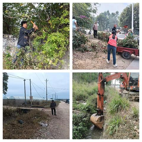 持续开展人居环境整治 让乡村“靓”起来