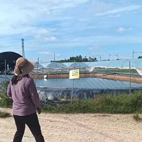 部道村网格员开展铁路沿线安全隐患排查