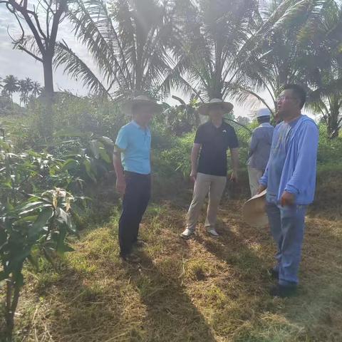 集中整治在行动｜隆广镇持续推动解决高标准农田建设堵点难题