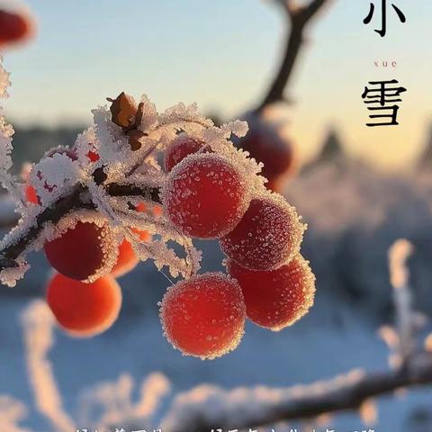 【美食坊】一周食谱回顾｜二十四节气之小雪