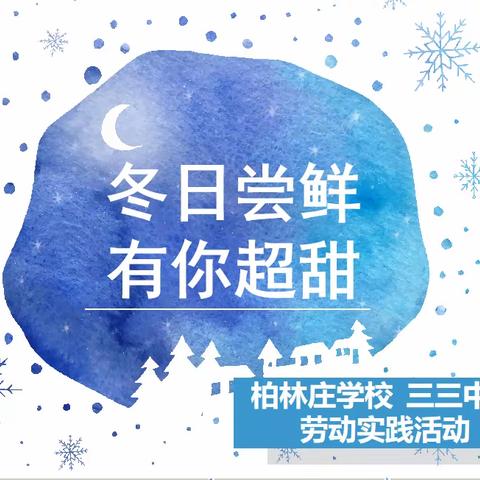 【柏林庄学校】“冬日尝鲜，有你超甜”——柏林庄学校劳动实践活动