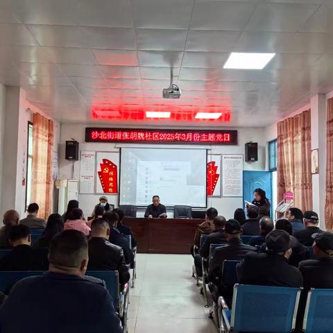 郾城区沙北街道张胡魏社区2025年3月主题党日活动