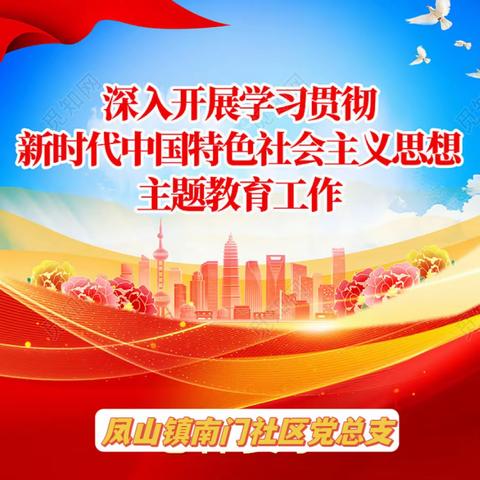 学习有收获 ，行动见成效｜｜凤山镇南门社区党总支深入开展主题教育