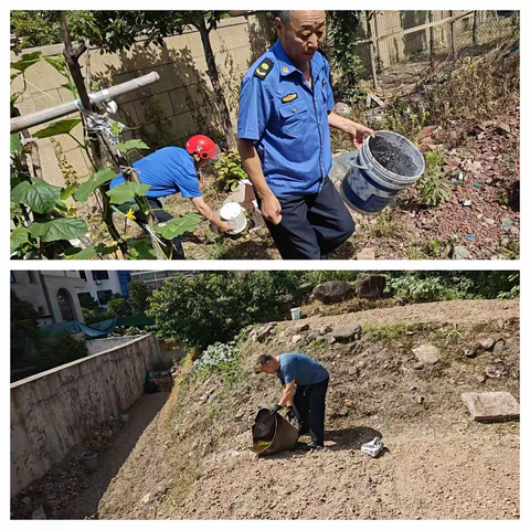 江邻善治丨龙门社区持续开展预防登革热专项行动 筑牢居民健康防线