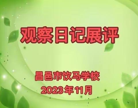 留心处处皆学问——昌邑市饮马学校四年级开展观察日记展评活动