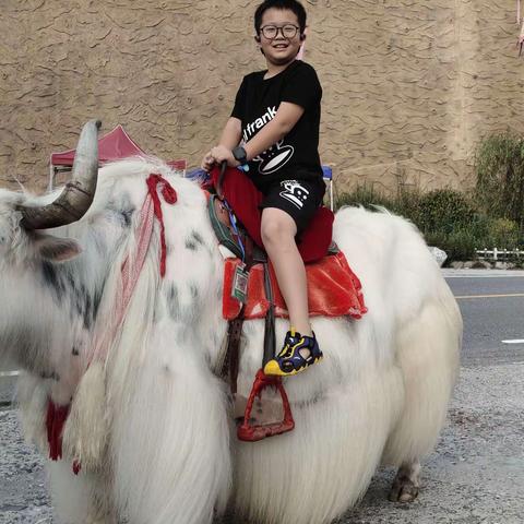 天台小学趣题讲解-24点