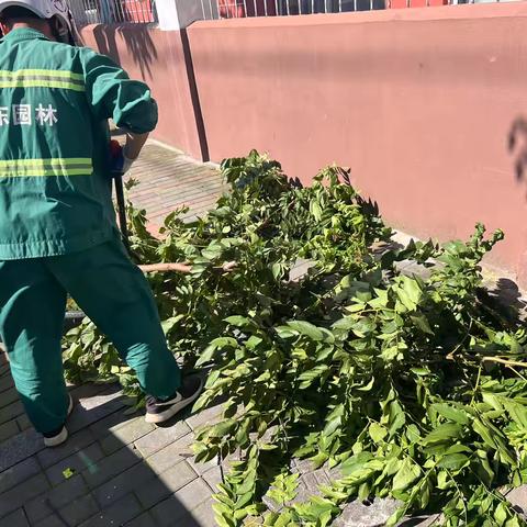 清理断枝，保障行人安全