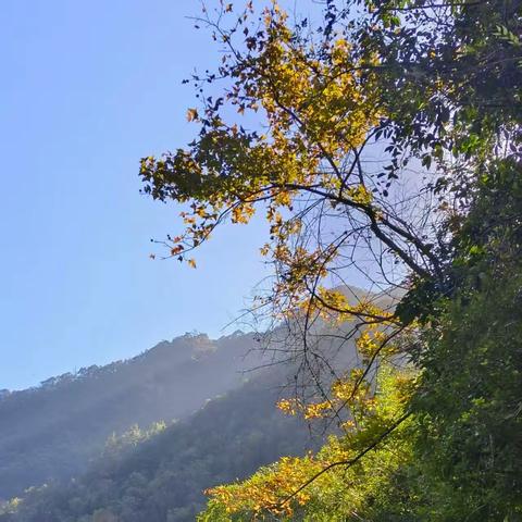 暂别繁忙，赴一场山水之约|仁泽秋日纪行