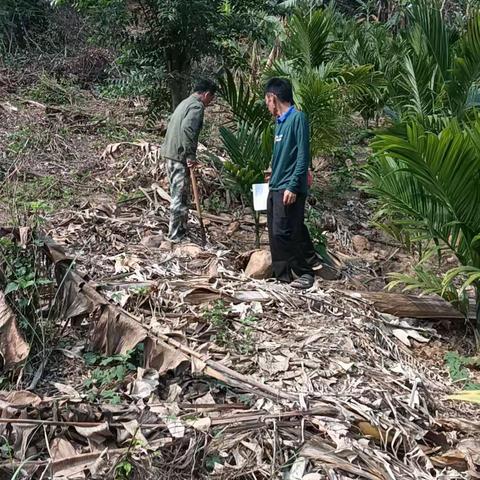 东河镇亚要村网格员为村民处理土地纠纷一事